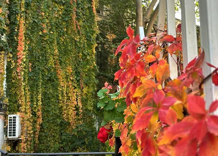 Maison d'hôtes Boutique