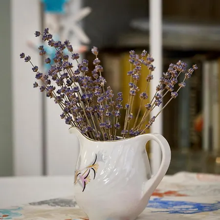 Guest house Boutique Varna