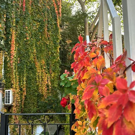 Guest house Boutique