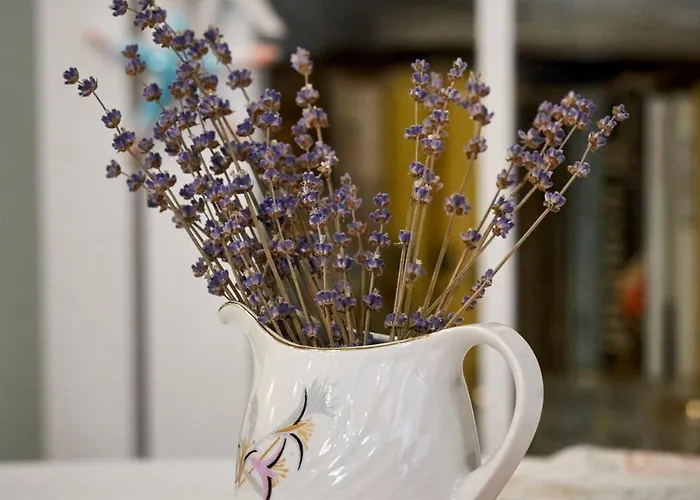 招待所 Boutique 瓦爾納